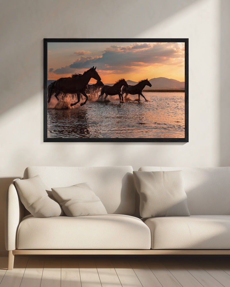 WATERPAARDEN | Canvas