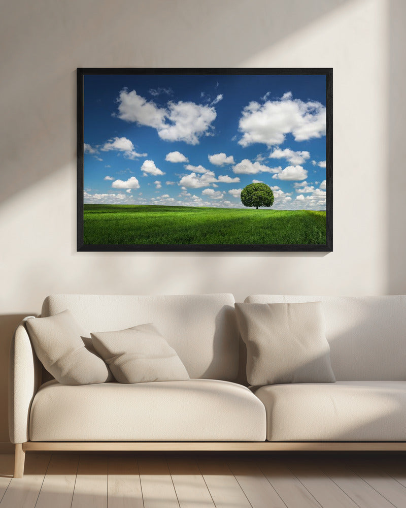 Eenzame boom | Canvas
