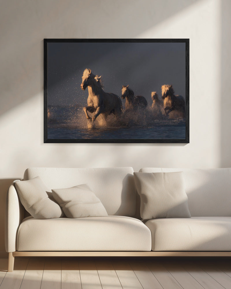 paarden in zonsonderganglicht | Canvas