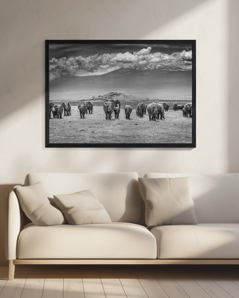 De Titanen | Canvas