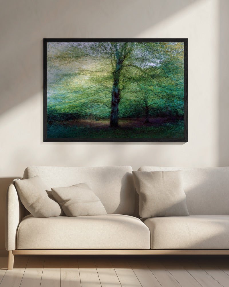 bos | Canvas