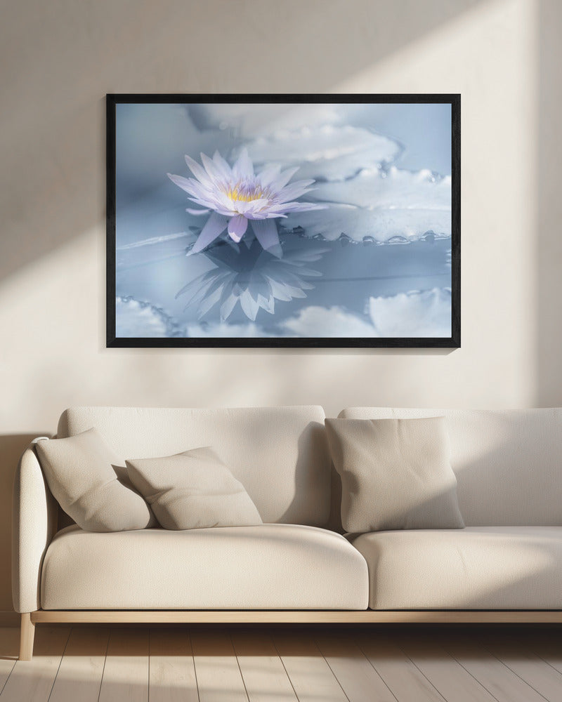 Reflection | Canvas