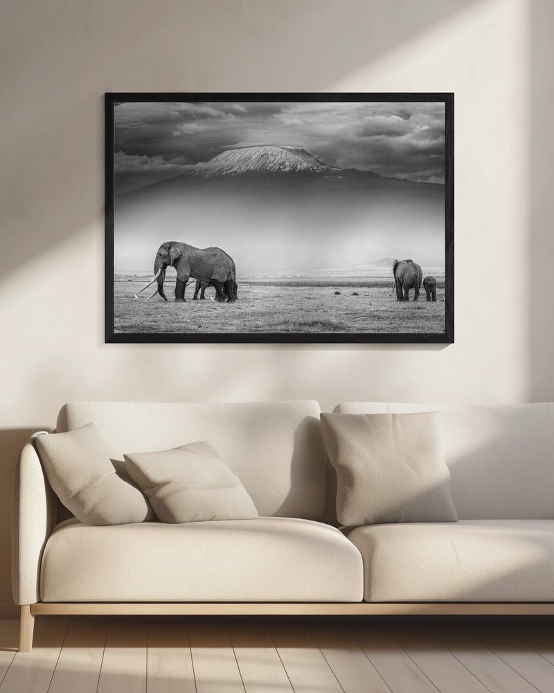 Het land van de reuzen | Canvas