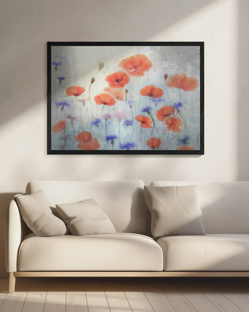 Klaproos | Canvas