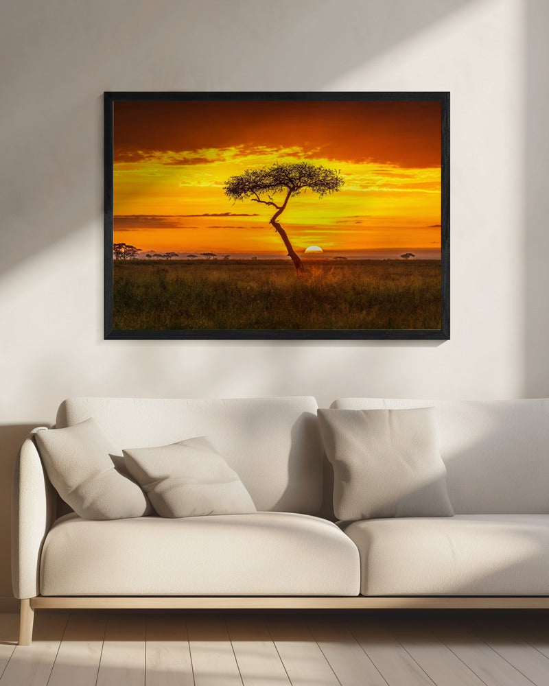 Oer-Afrika | Canvas