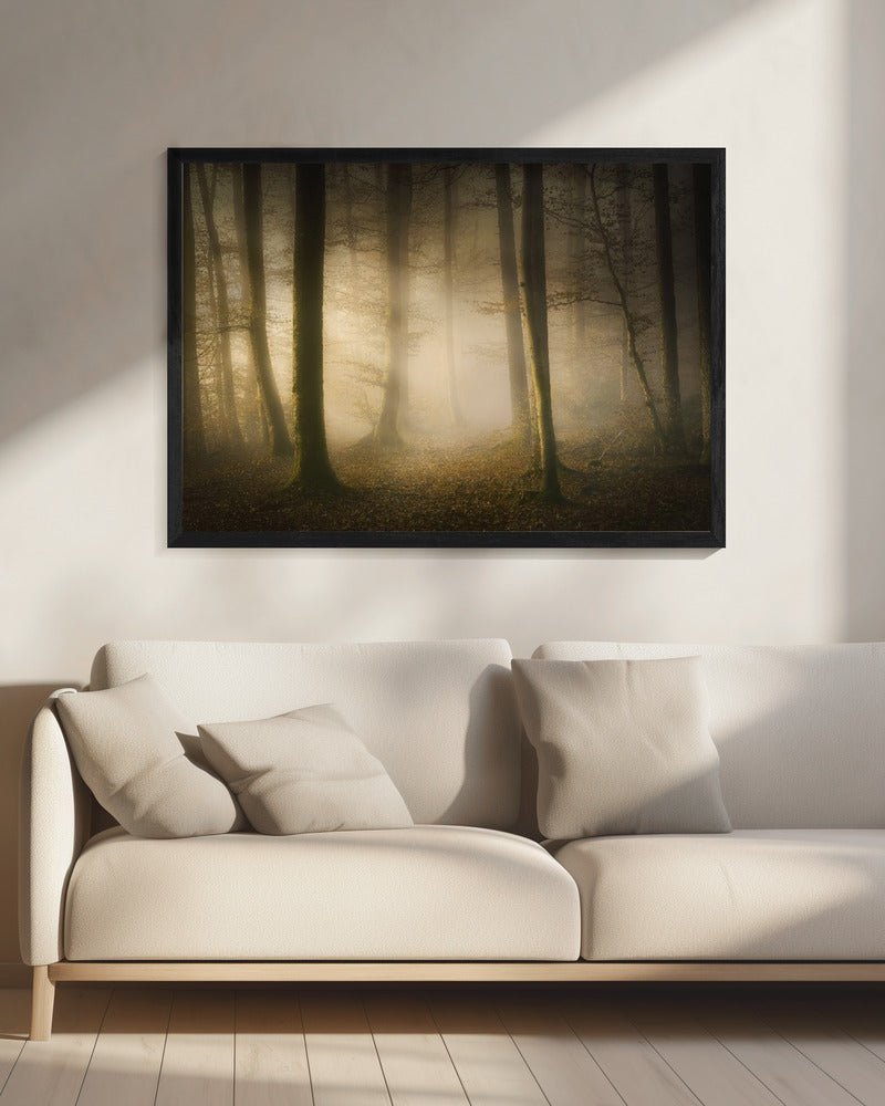 November Fluisteringen | Canvas