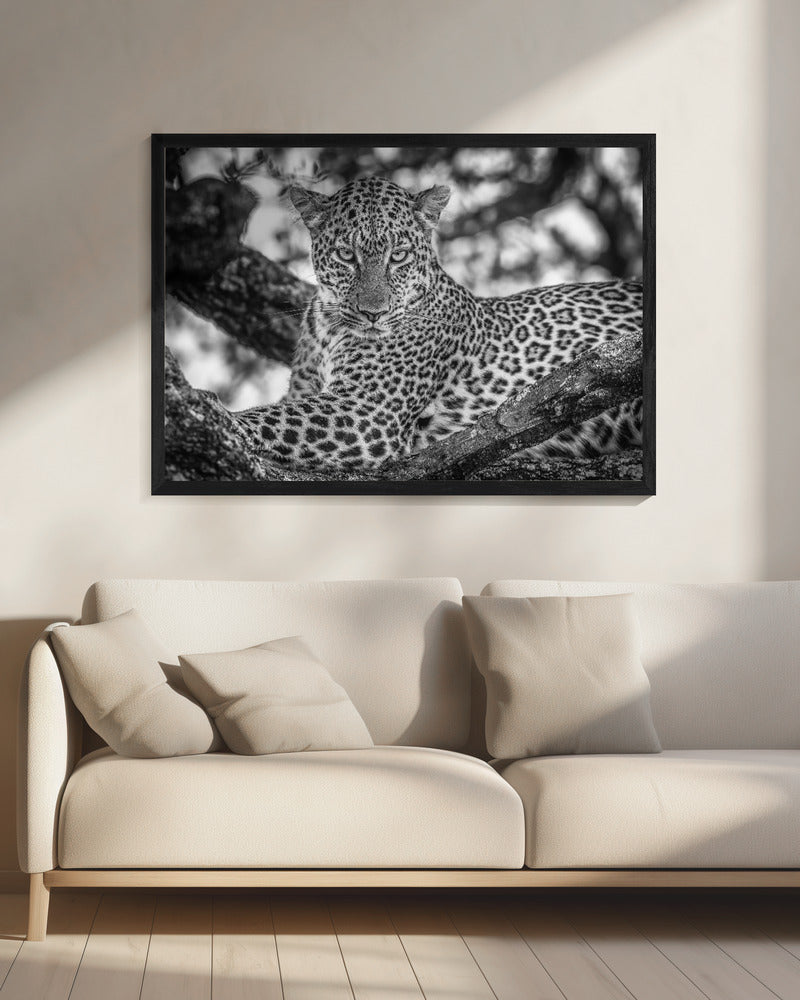 Monochrome schoonheid | Canvas