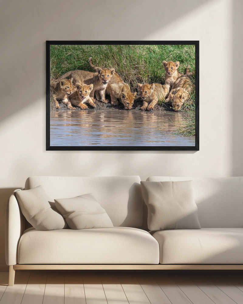 De band weer bij elkaar brengen... | Canvas