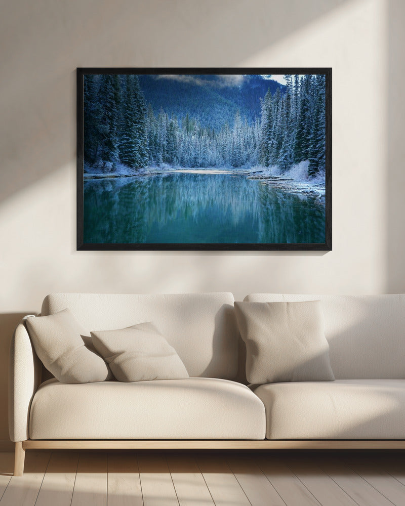 Wonder Winterland | Canvas
