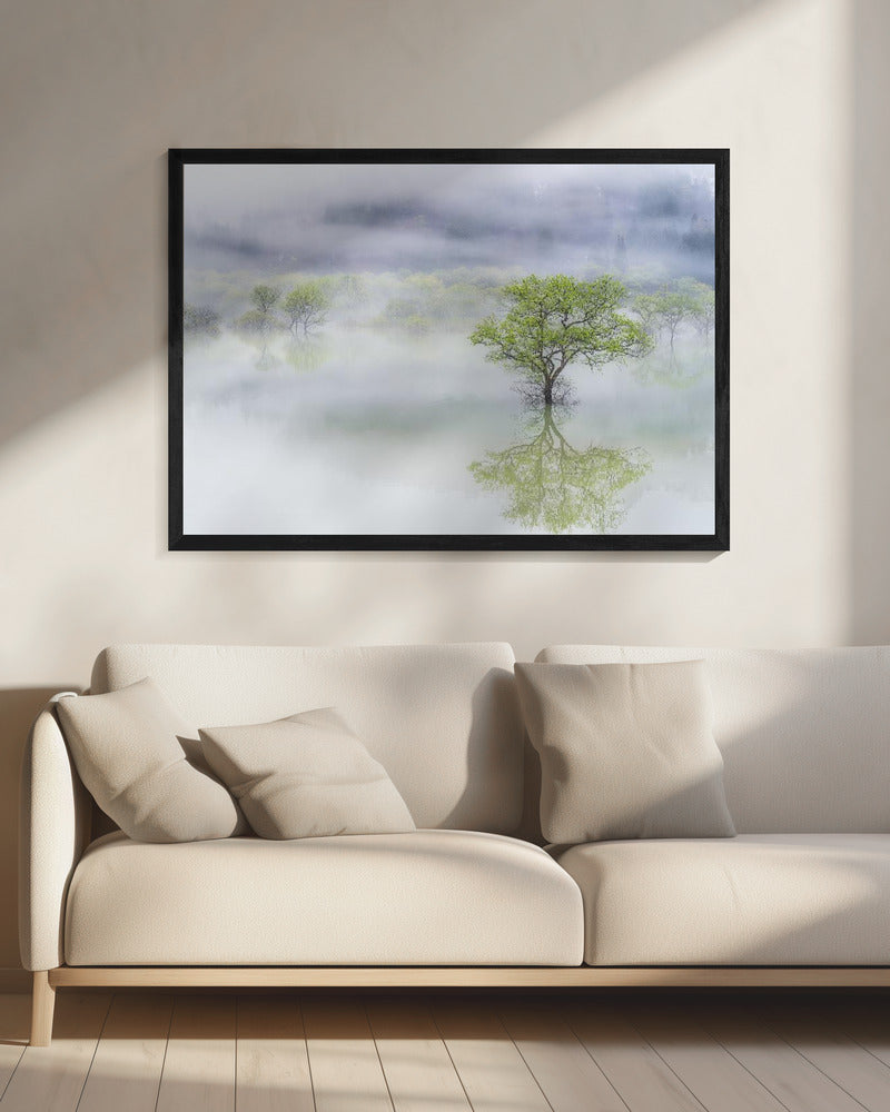 Dromerige boom | Canvas