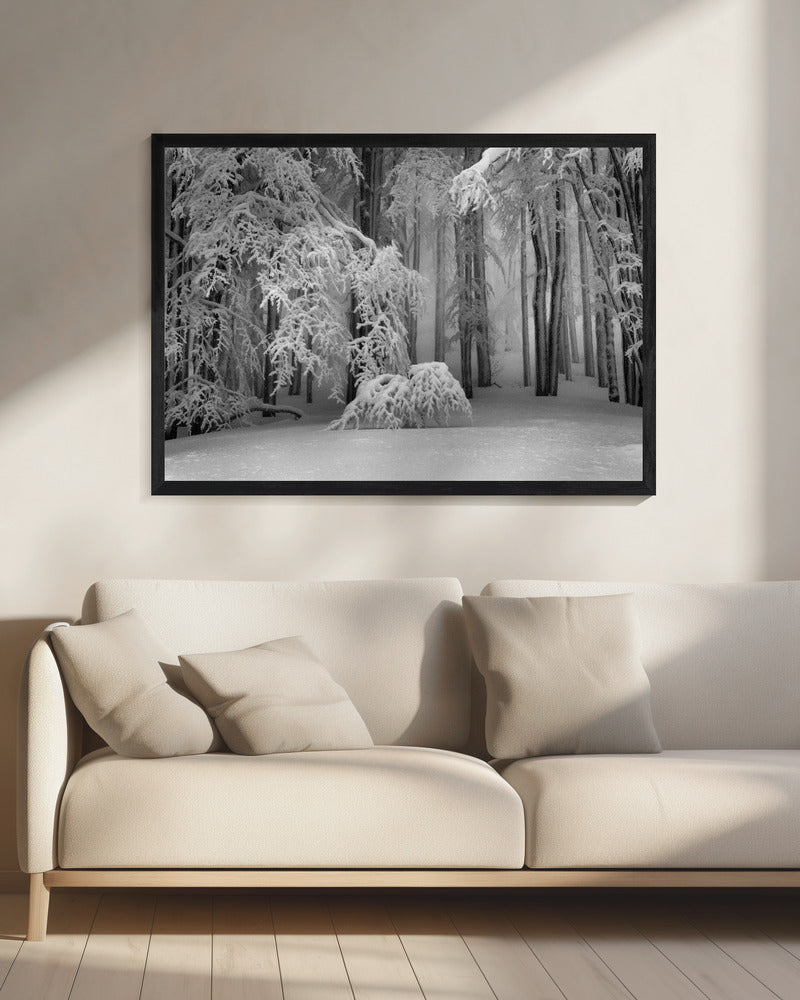 Perfecte winter | Canvas