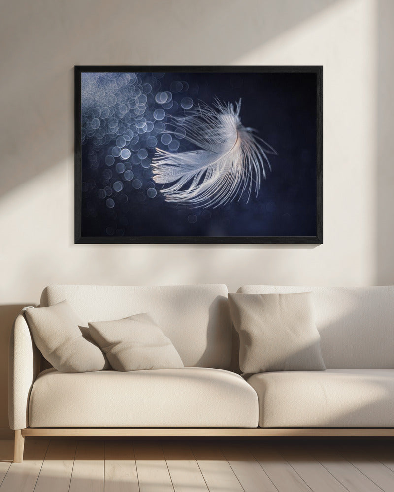 Placiditeit | Canvas