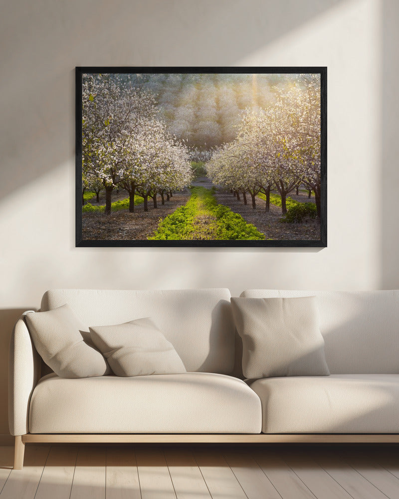 Gouden Amandelen | Canvas