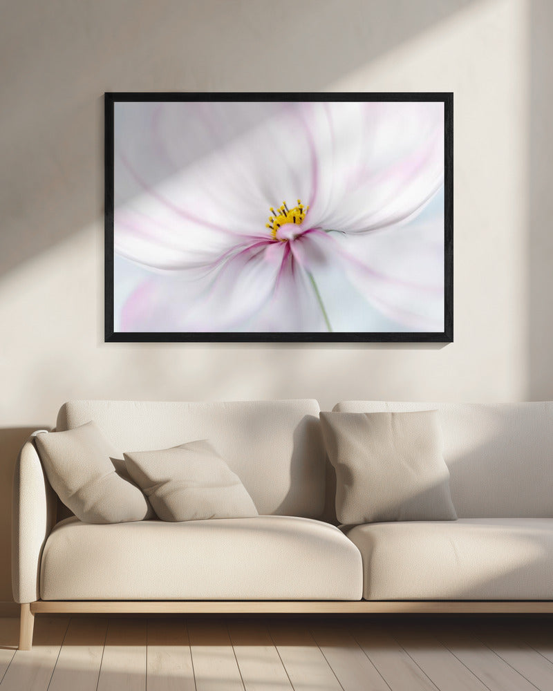 Kosmos | Canvas