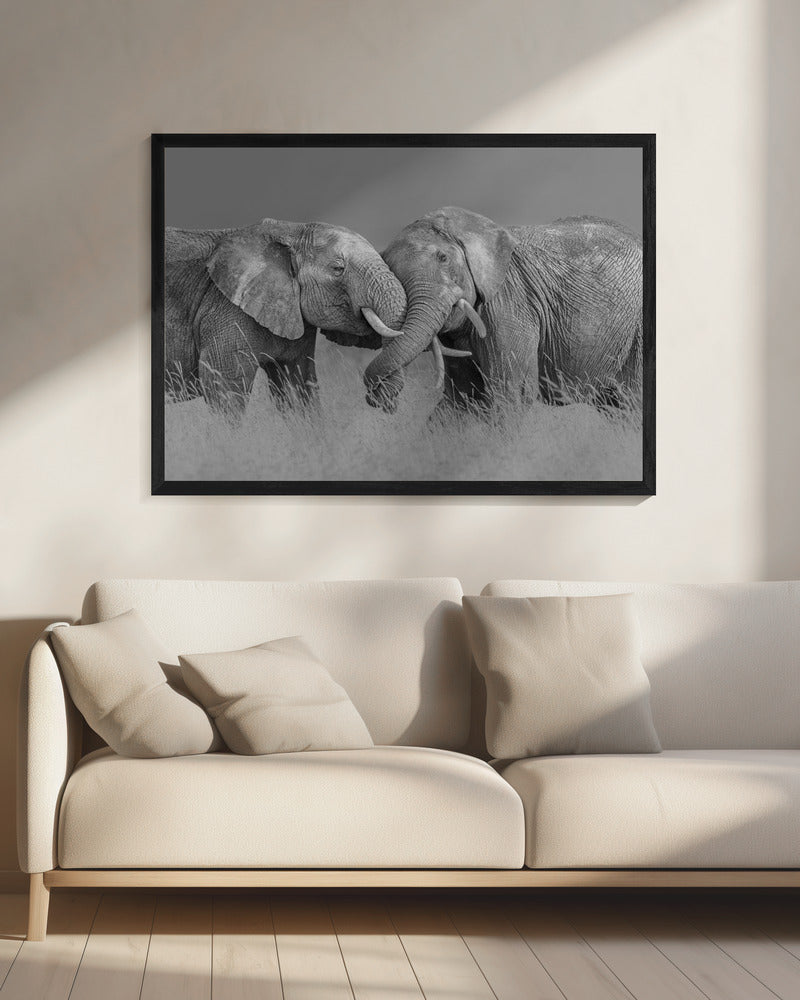 Elephant Flight | Canvas