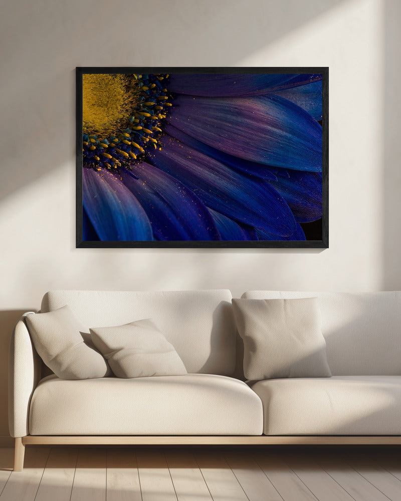 Blauwe stralen | Canvas