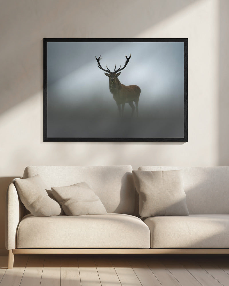 Ephemerality | Canvas