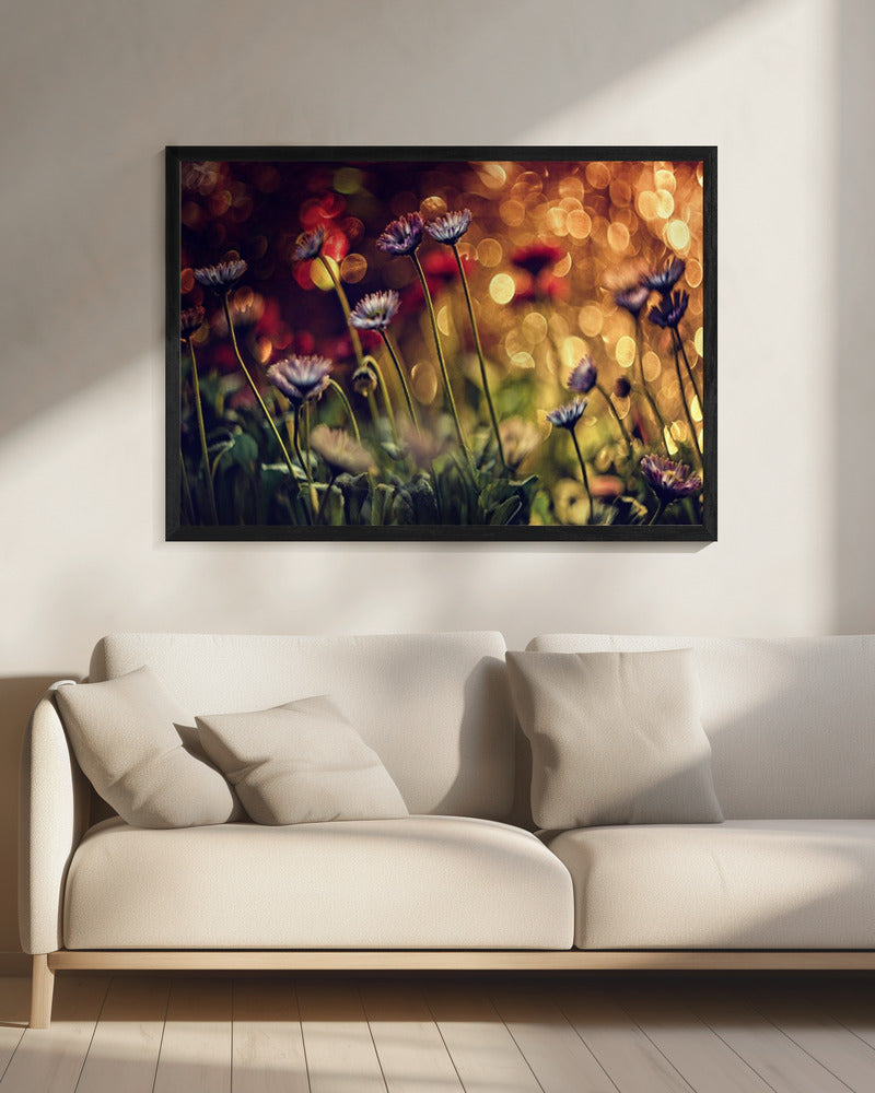 Zonder titel | Canvas