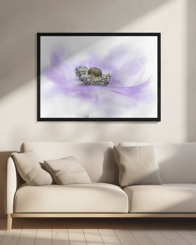 Fluister | Canvas