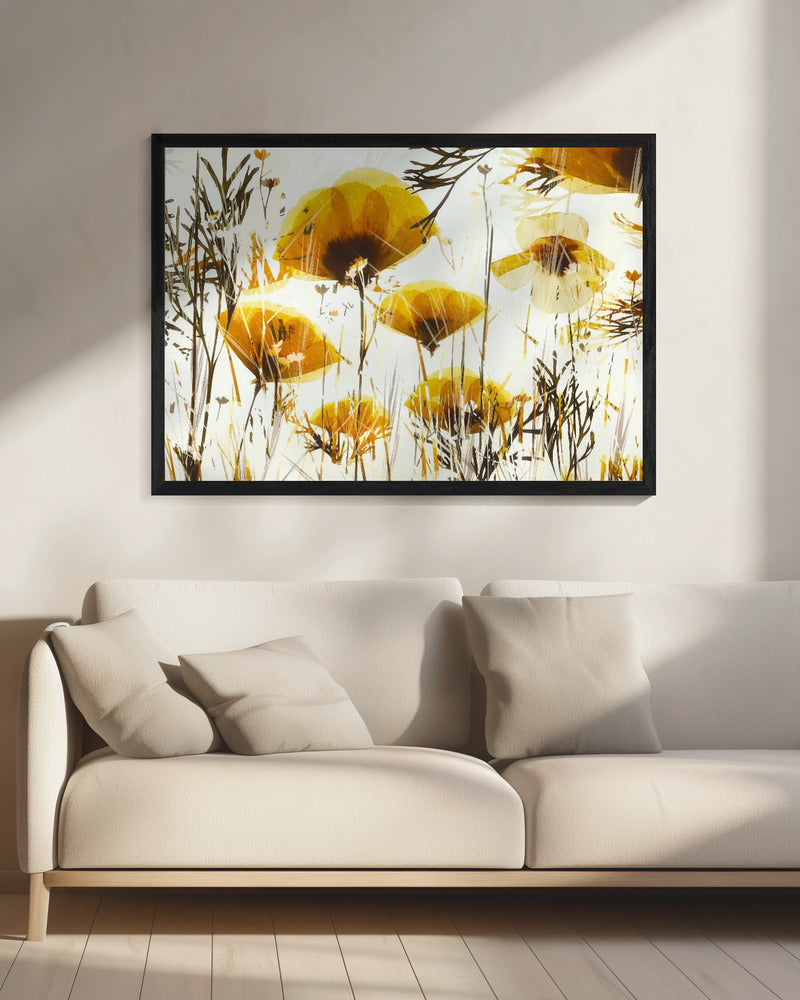 Promise | Canvas