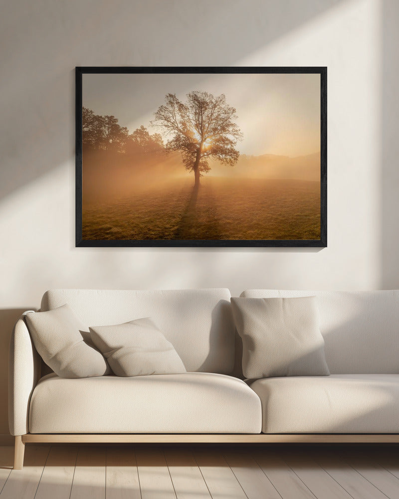 Eenzame boom | Canvas