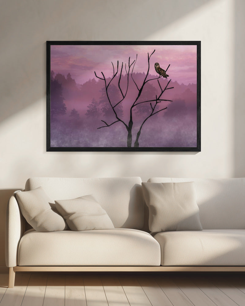 Roze lucht in de ochtend | Canvas