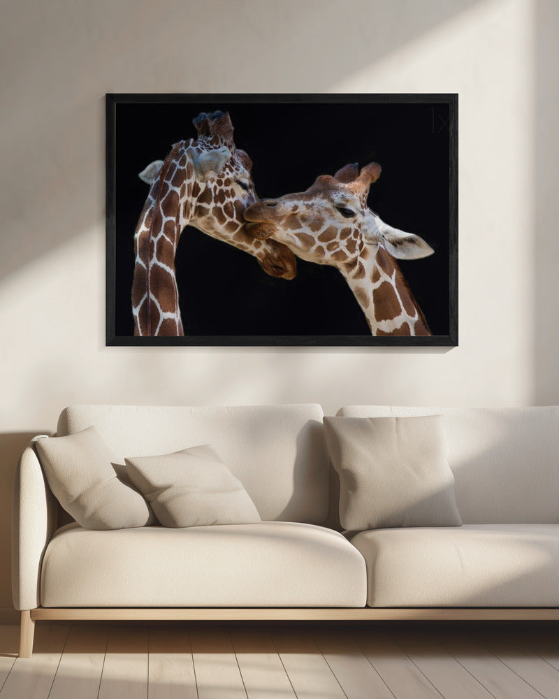 De kus | Canvas