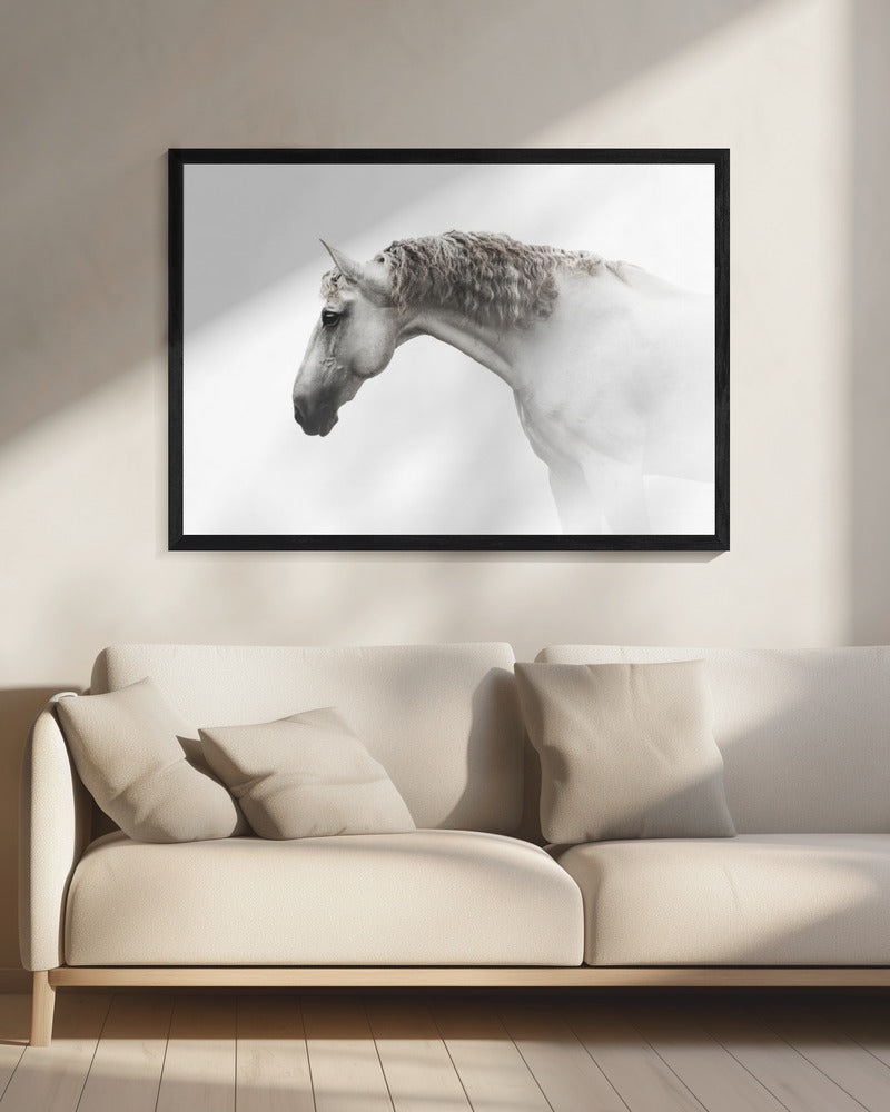 Krullend haar… | Canvas