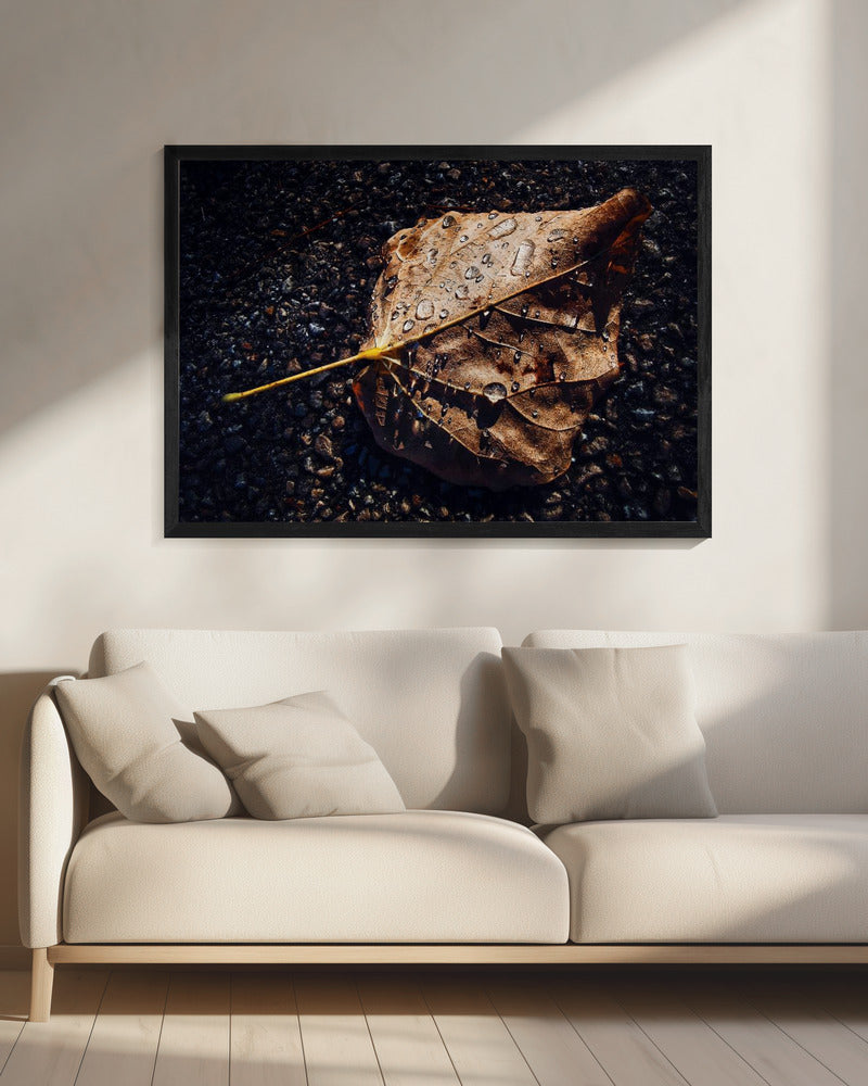 Leaf | Canvas
