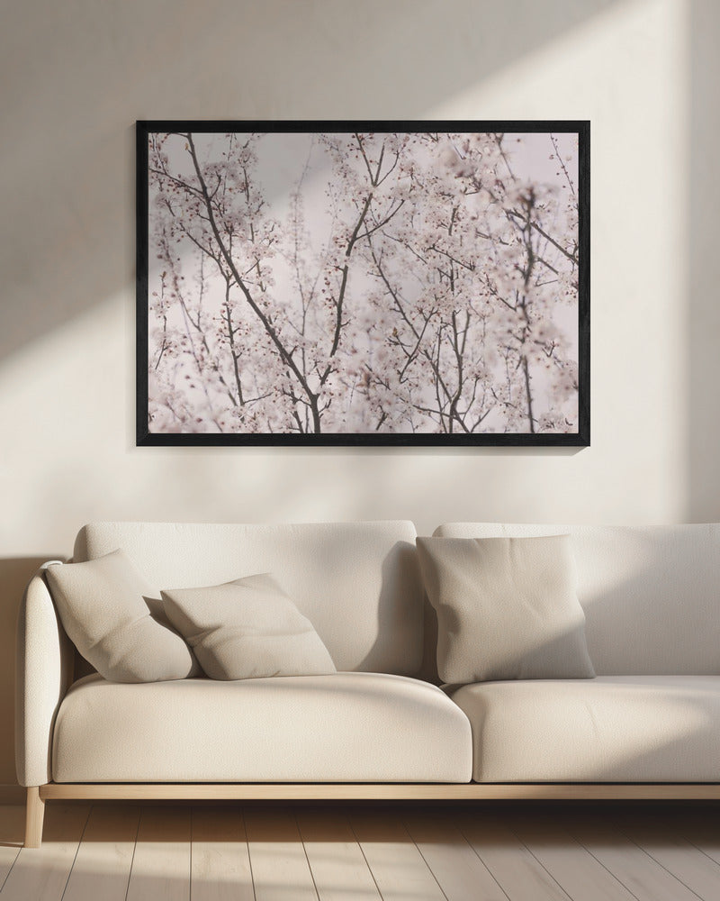 Lentebloesems | Canvas