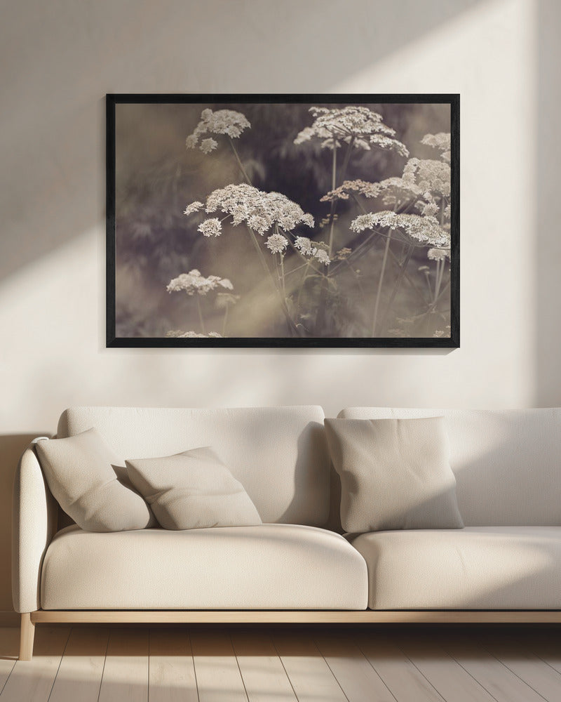 Wilde Peterselie | Canvas