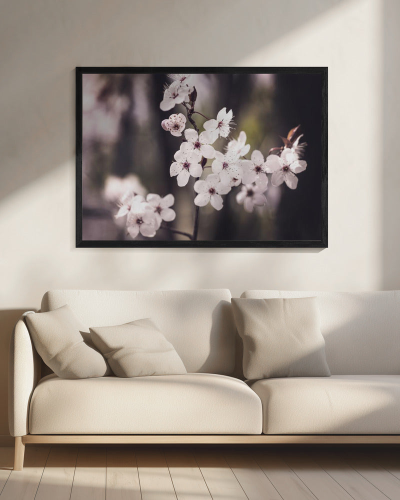 Bloesems | Canvas