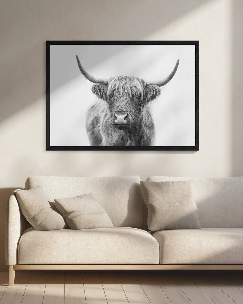 Hooglander | Canvas