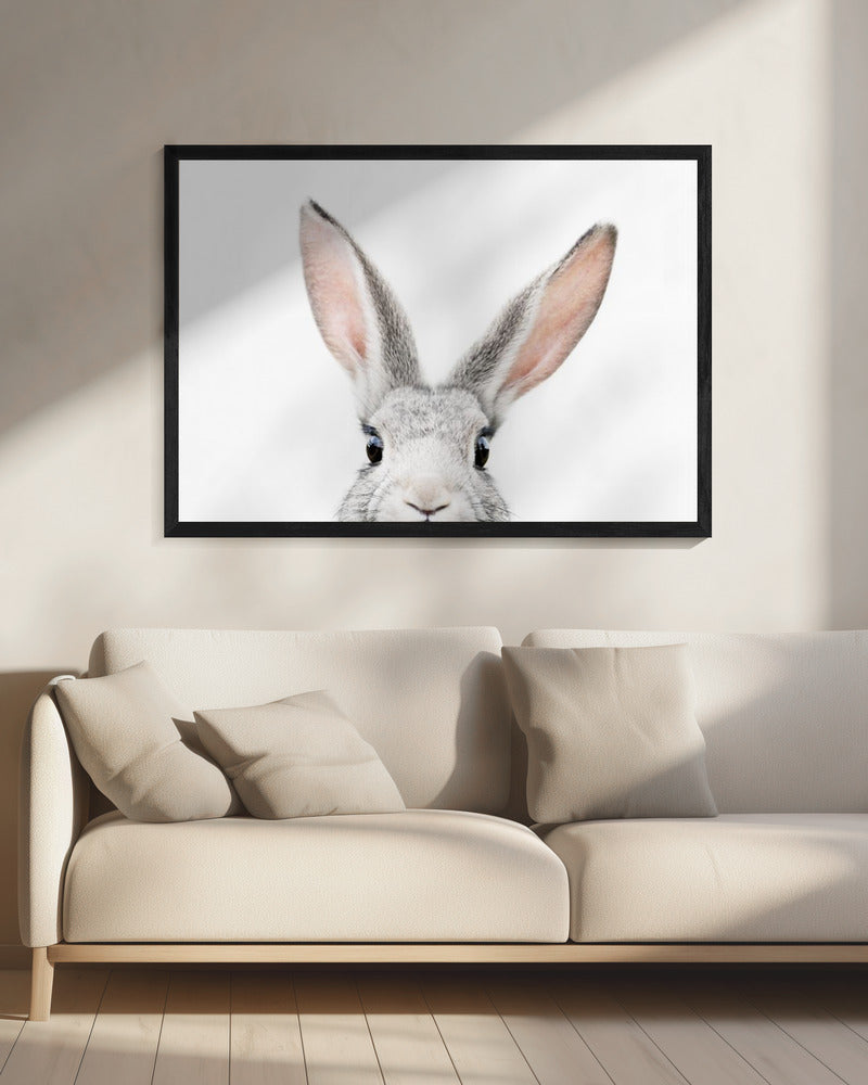 Glurend Konijntje | Canvas