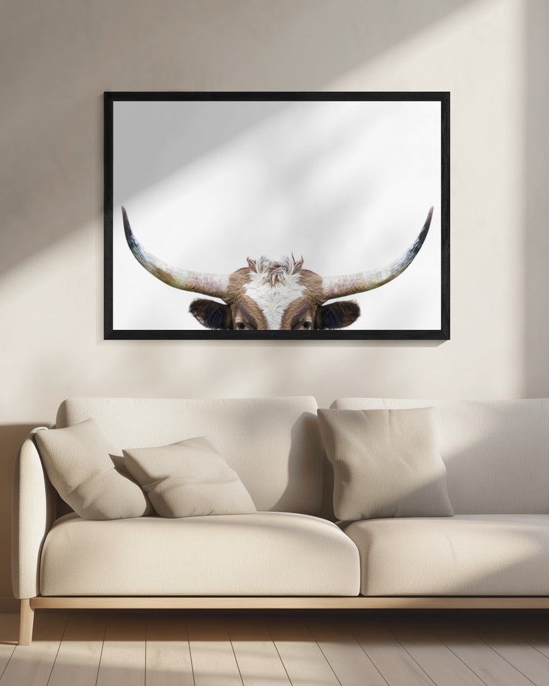 Glurende Longhornkoe | Canvas