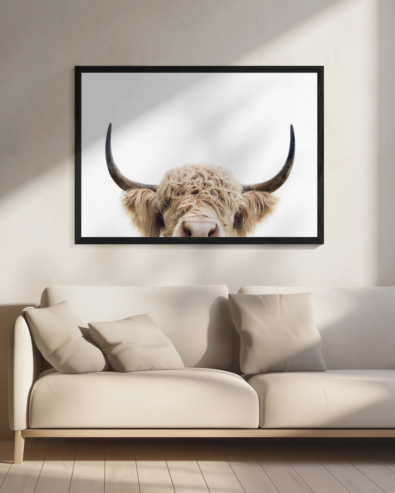 Glurende koe | Canvas