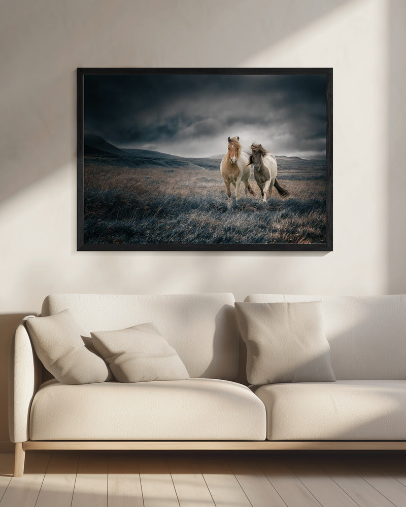 De broers | Canvas