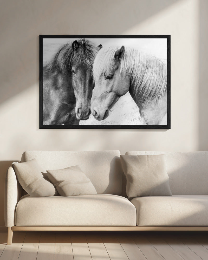 Paardenliefde | Canvas