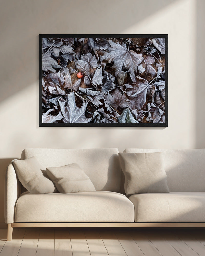 Bevroren bladeren | Canvas