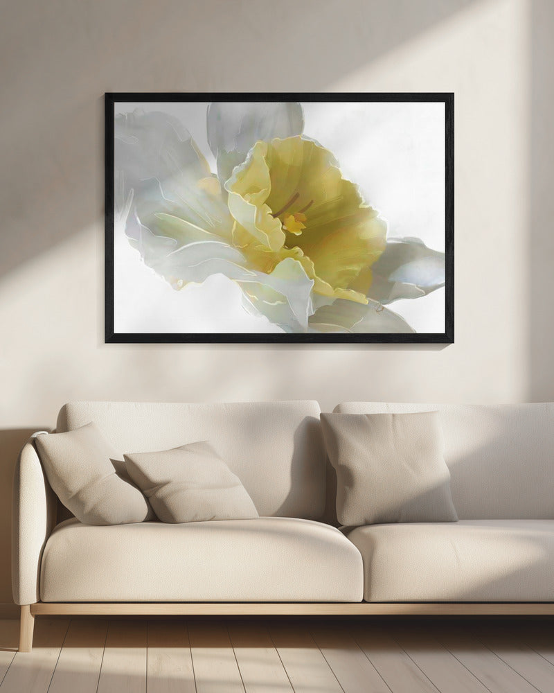 Narcis | Canvas