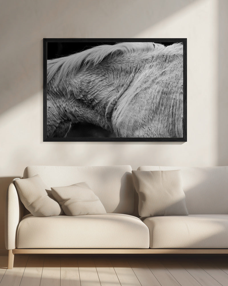 Paard II | Canvas