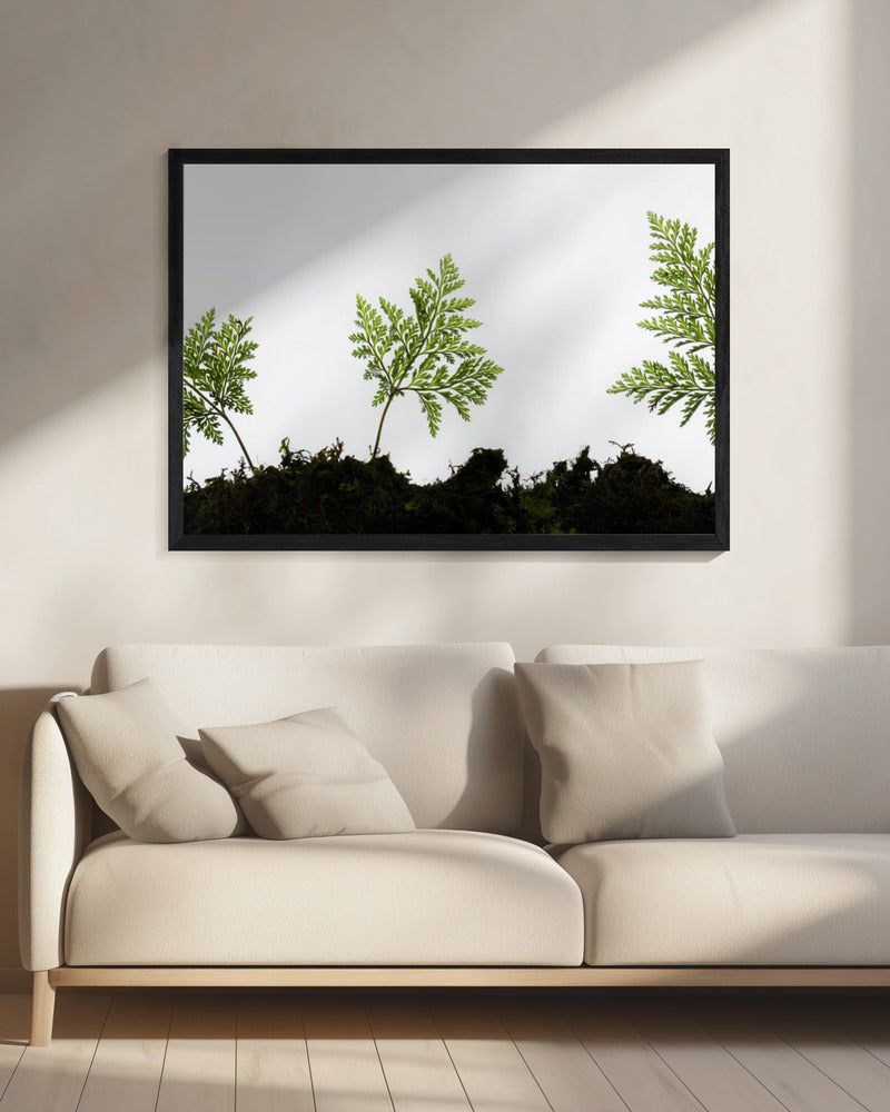 Varendetail | Canvas