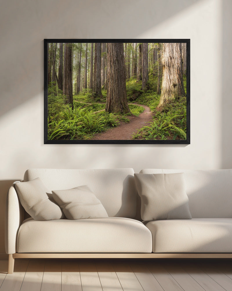 Lost World | Canvas