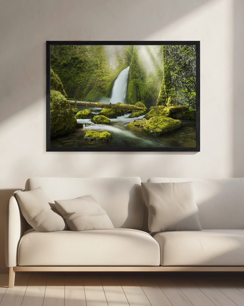 Green Gorge | Canvas