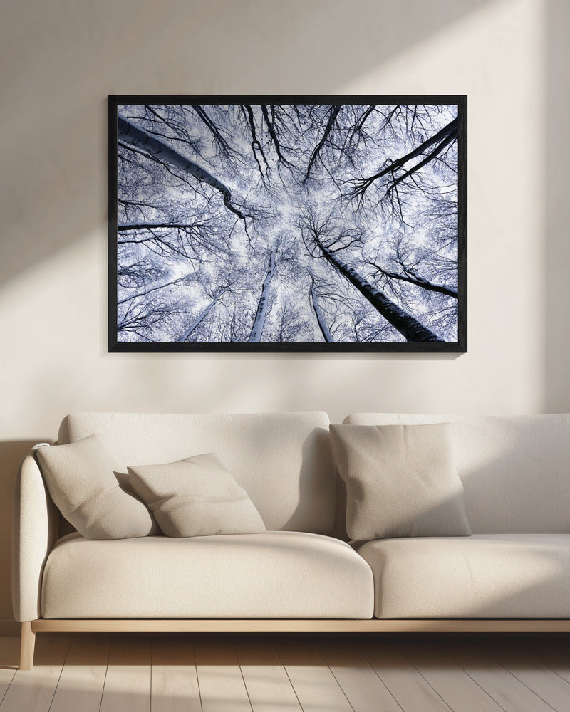 Up II | Canvas