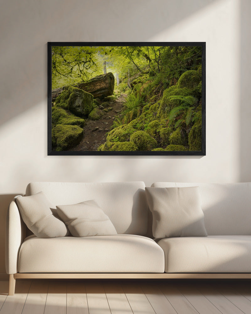 Mossig pad | Canvas