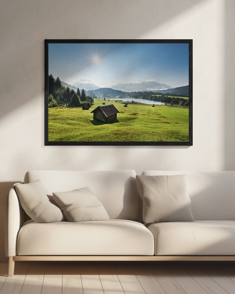 Zomerweide | Canvas