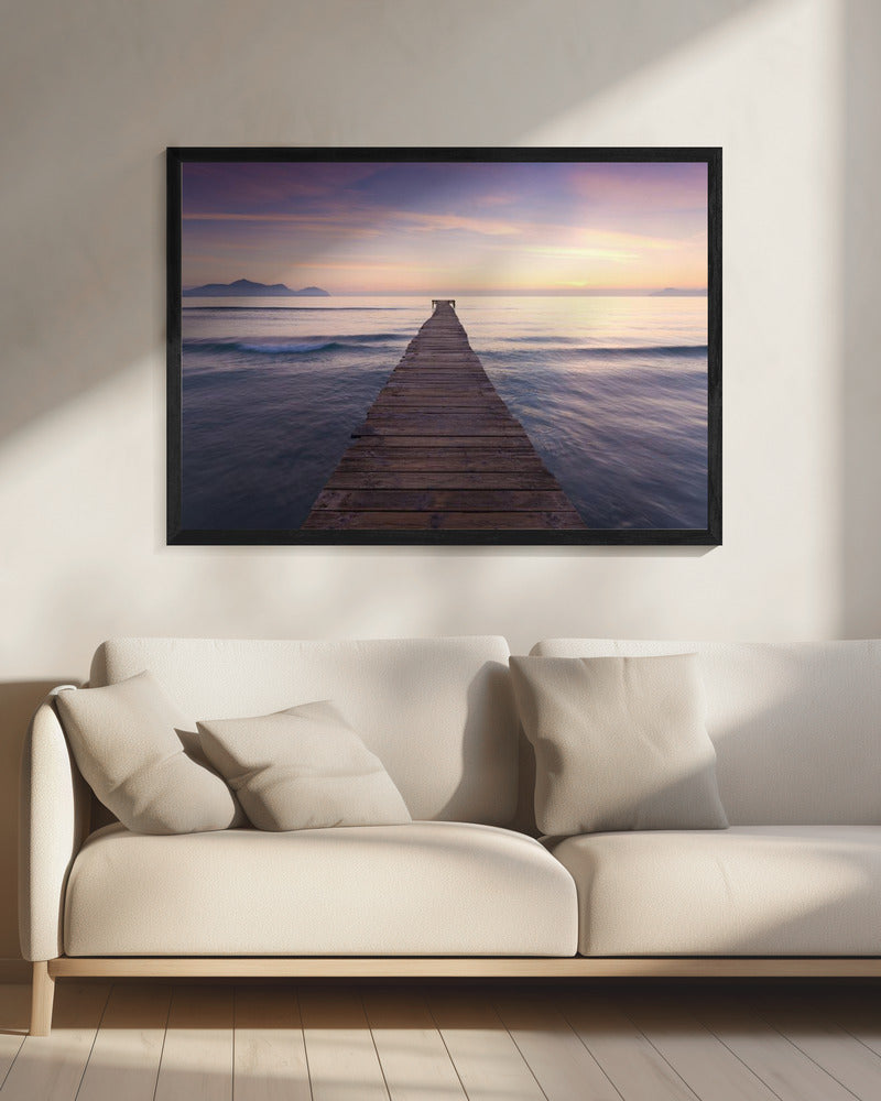 Paarse steiger | Canvas