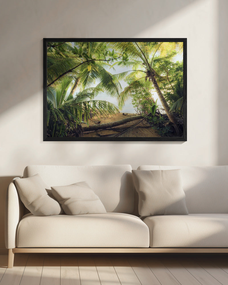 Pirates Nest | Canvas