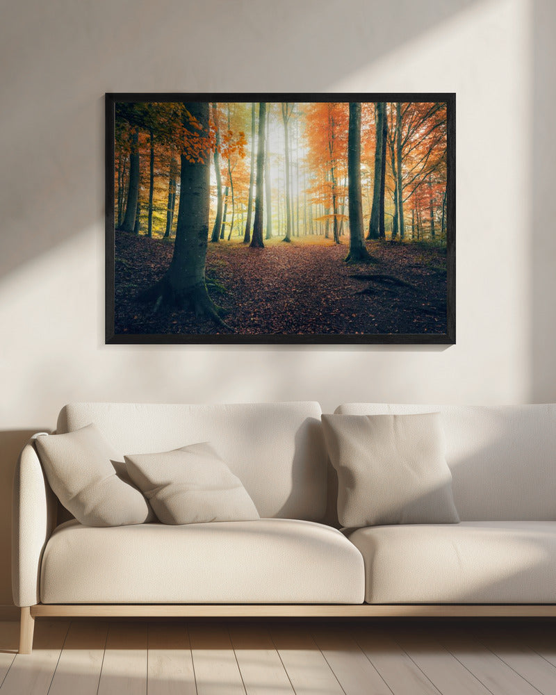 Herfst in het bos | Canvas